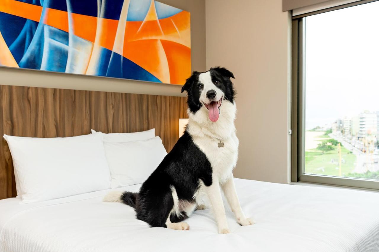 Hyatt Place Макаэ Экстерьер фото